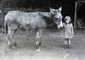 Harry Penhaul Exhibition: Photographic Prints