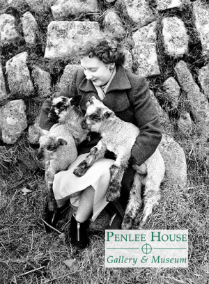 Harry Penhaul Print - pen