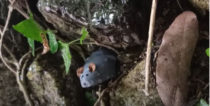 Tick Tock Time: Rainy Days