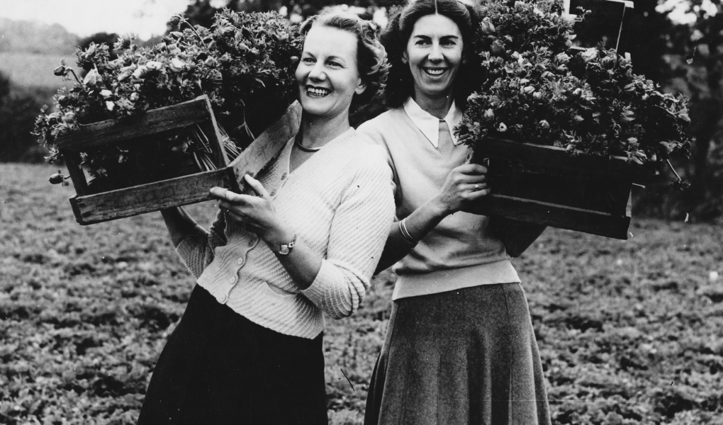 Can you identify anyone in these photographs?