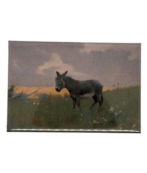 Forty Winks Fridge Magnet