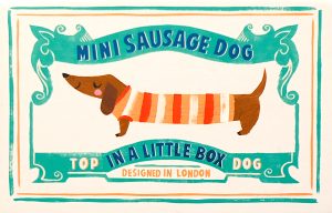 graphic image of sausage dog toy front cover with blue banners