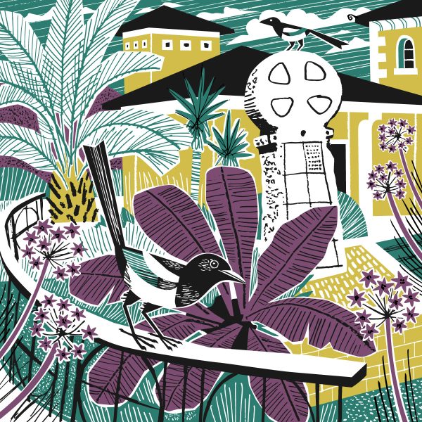 Digital print of magpie bird in front of penlee house building by matt johnson